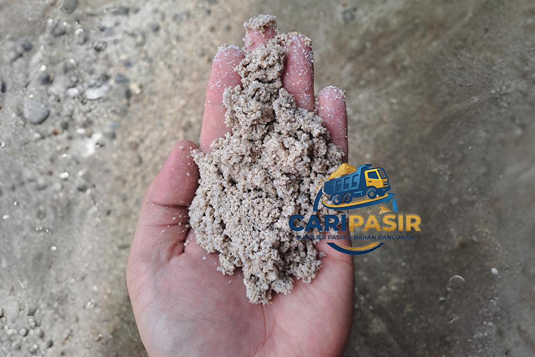 pasir bangka putih